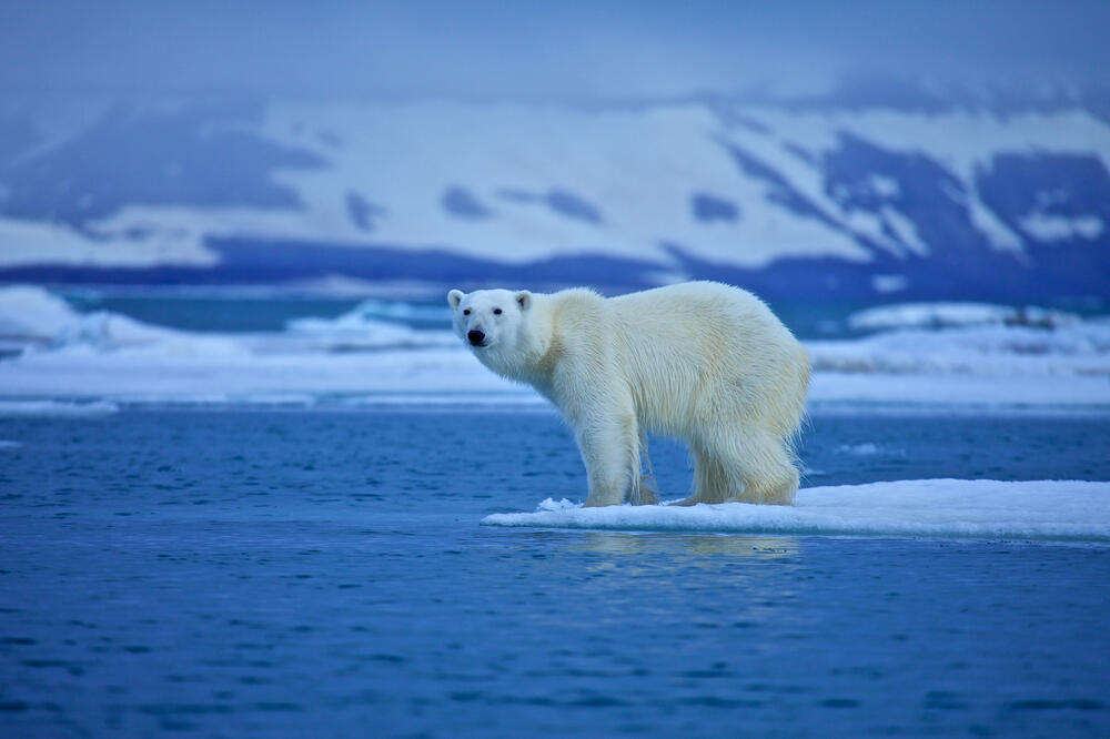 09.02.2015 Lehrerfortbildung - Der Klimawandel: Fachwissen erwerben