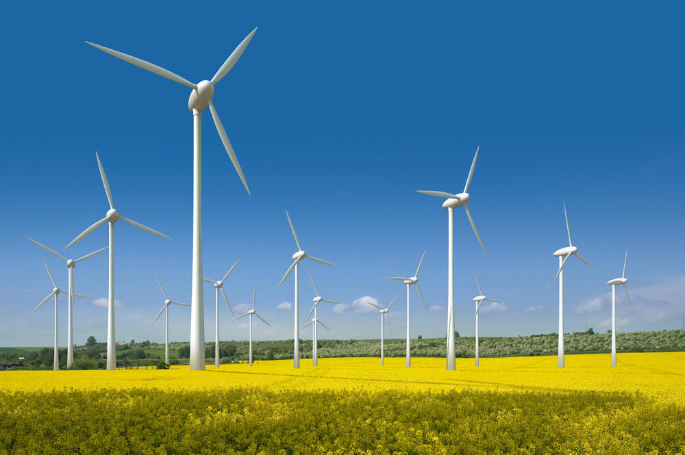 Wie sich Windenergie und Naturschutz vertragen © Fotolia