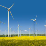 Wie sich Windenergie und Naturschutz vertragen © Fotolia